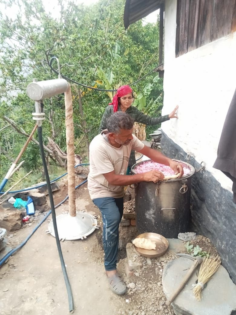 A hill farming couple distilling rose petals in a copper still outside their home in Uttarakhand